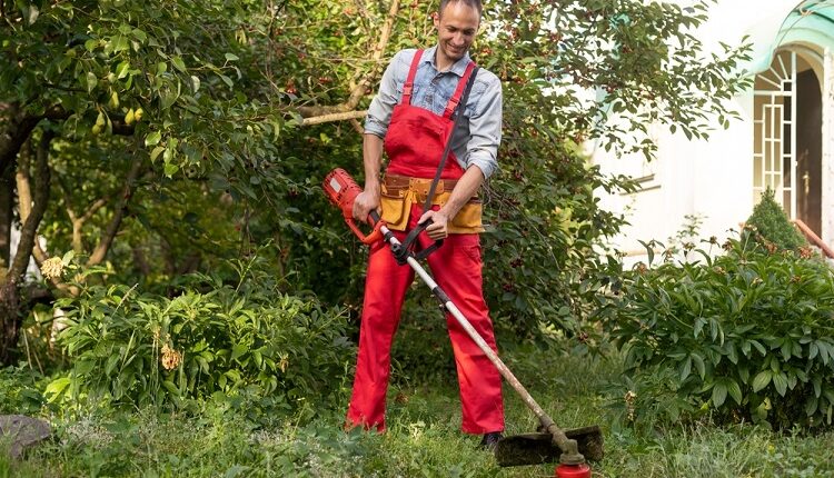 Lawn Care