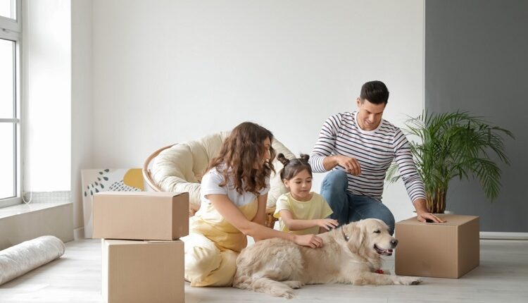 Moving with Pets