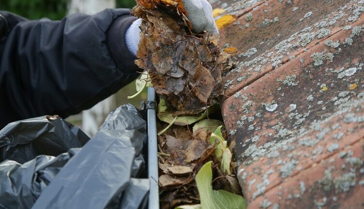 Home Maintenance