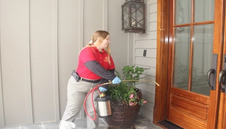 pest control